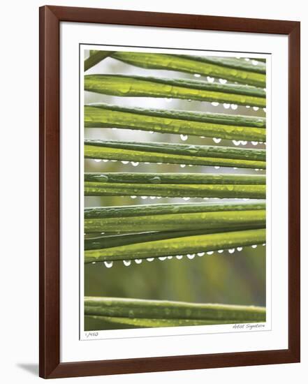 After the Rain I-Joy Doherty-Framed Giclee Print