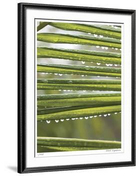 After the Rain I-Joy Doherty-Framed Giclee Print