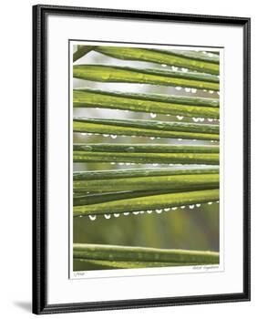 After the Rain I-Joy Doherty-Framed Giclee Print