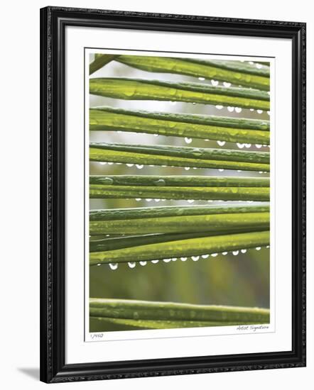 After the Rain I-Joy Doherty-Framed Giclee Print