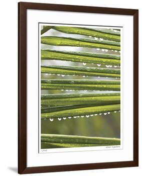 After the Rain I-Joy Doherty-Framed Giclee Print
