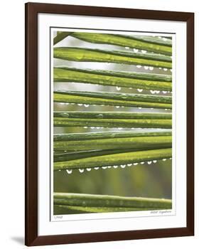 After the Rain I-Joy Doherty-Framed Giclee Print