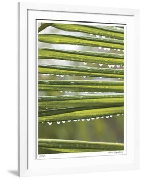 After the Rain I-Joy Doherty-Framed Giclee Print