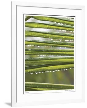 After the Rain I-Joy Doherty-Framed Giclee Print
