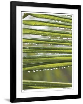 After the Rain I-Joy Doherty-Framed Giclee Print
