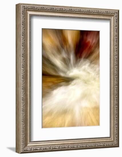 After the Rain I-Douglas Taylor-Framed Photographic Print