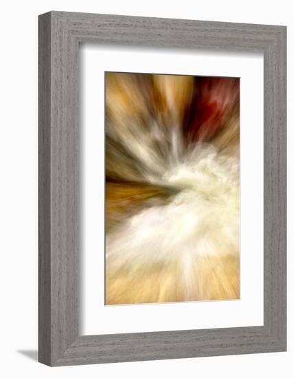 After the Rain I-Douglas Taylor-Framed Photographic Print