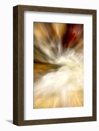 After the Rain I-Douglas Taylor-Framed Photographic Print