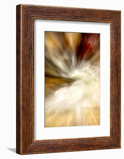 After the Rain I-Douglas Taylor-Framed Photographic Print