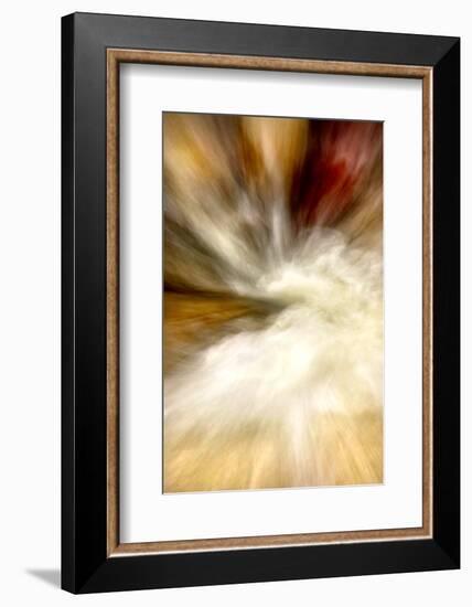 After the Rain I-Douglas Taylor-Framed Photographic Print