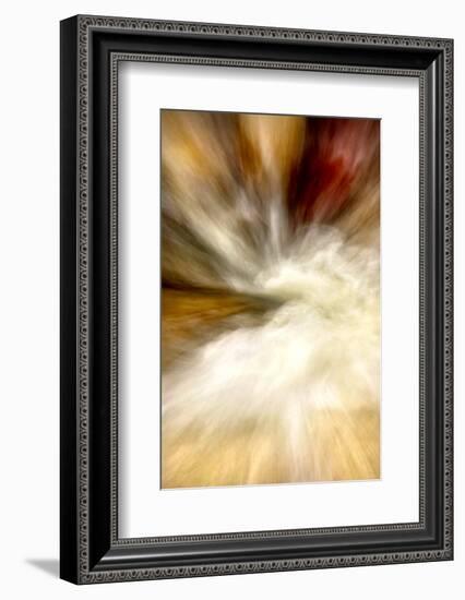 After the Rain I-Douglas Taylor-Framed Photographic Print