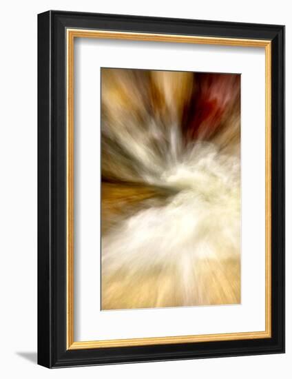 After the Rain I-Douglas Taylor-Framed Photographic Print