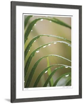 After the Rain II-Joy Doherty-Framed Giclee Print