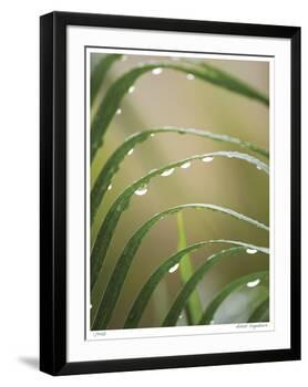 After the Rain II-Joy Doherty-Framed Giclee Print