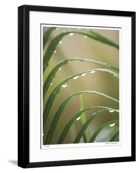 After the Rain II-Joy Doherty-Framed Giclee Print