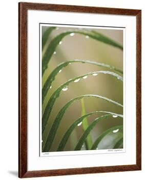 After the Rain II-Joy Doherty-Framed Giclee Print