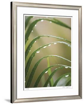 After the Rain II-Joy Doherty-Framed Giclee Print