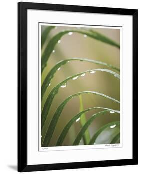 After the Rain II-Joy Doherty-Framed Giclee Print