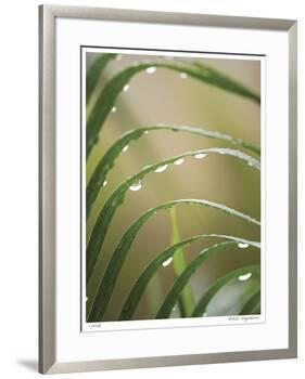 After the Rain II-Joy Doherty-Framed Giclee Print