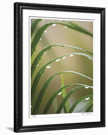 After the Rain II-Joy Doherty-Framed Giclee Print