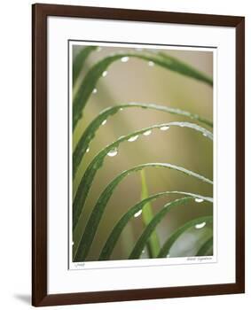 After the Rain II-Joy Doherty-Framed Giclee Print