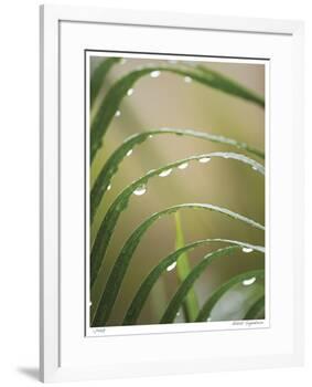 After the Rain II-Joy Doherty-Framed Giclee Print
