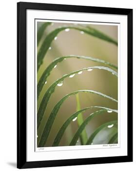 After the Rain II-Joy Doherty-Framed Giclee Print