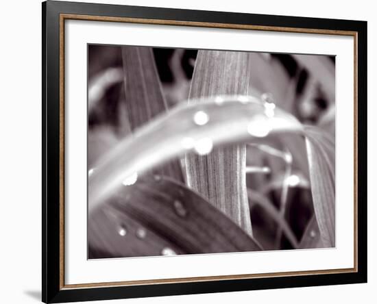 After The Rain II-Douglas Yan-Framed Giclee Print