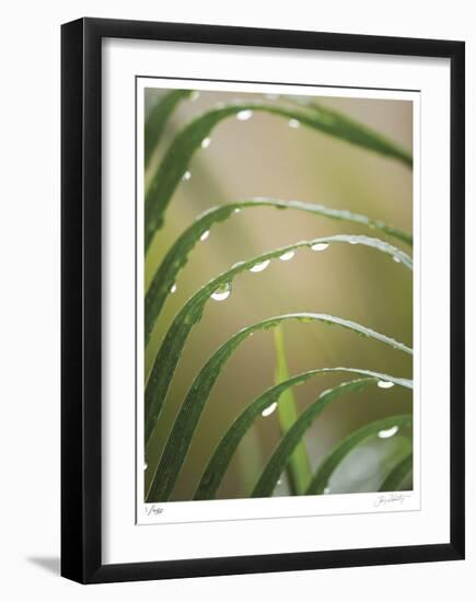 After the Rain II-Joy Doherty-Framed Limited Edition