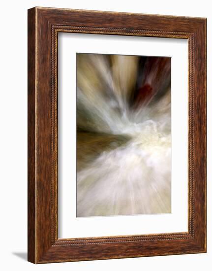 After the Rain II-Douglas Taylor-Framed Photographic Print