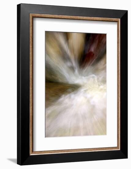 After the Rain II-Douglas Taylor-Framed Photographic Print