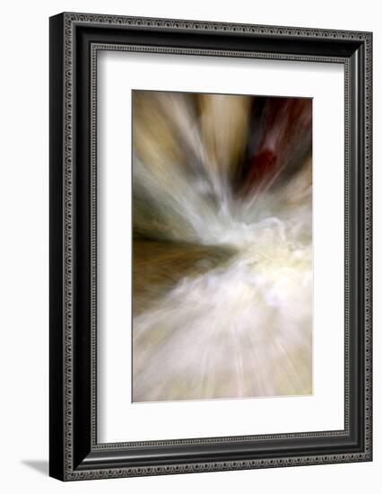 After the Rain II-Douglas Taylor-Framed Photographic Print