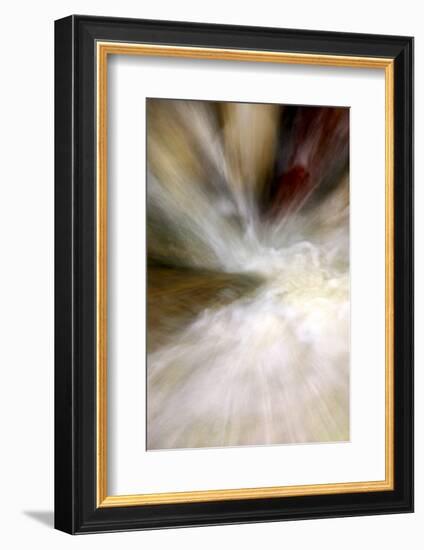 After the Rain II-Douglas Taylor-Framed Photographic Print