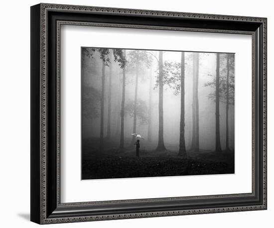 After the Rain-Hengki Lee-Framed Photographic Print