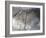 After The Rain-Heidi Westum-Framed Photographic Print