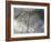 After The Rain-Heidi Westum-Framed Photographic Print