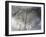 After The Rain-Heidi Westum-Framed Photographic Print