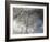 After The Rain-Heidi Westum-Framed Photographic Print