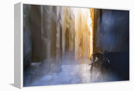 After the Rain-Valda Bailey-Framed Premier Image Canvas