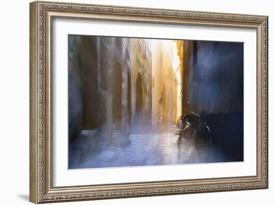 After the Rain-Valda Bailey-Framed Photographic Print