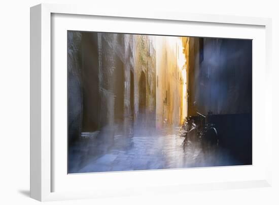 After the Rain-Valda Bailey-Framed Photographic Print