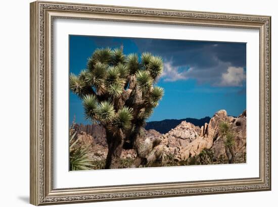 After the Storm I-Erin Berzel-Framed Photographic Print