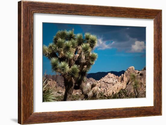 After the Storm I-Erin Berzel-Framed Photographic Print