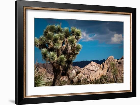 After the Storm I-Erin Berzel-Framed Photographic Print