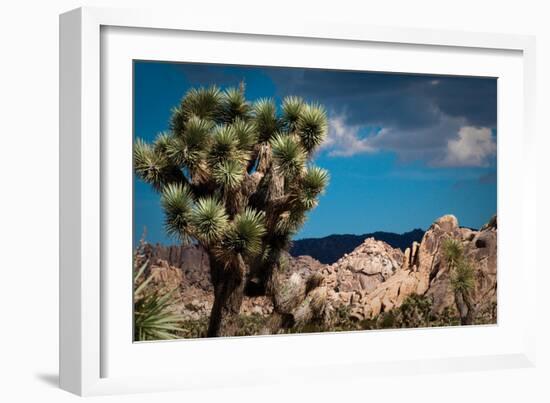 After the Storm I-Erin Berzel-Framed Photographic Print