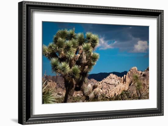 After the Storm I-Erin Berzel-Framed Photographic Print