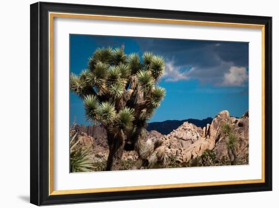 After the Storm I-Erin Berzel-Framed Photographic Print