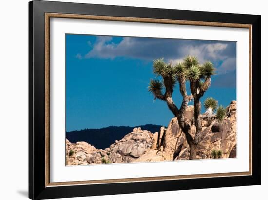 After the Storm II-Erin Berzel-Framed Photographic Print