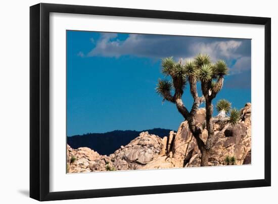 After the Storm II-Erin Berzel-Framed Photographic Print