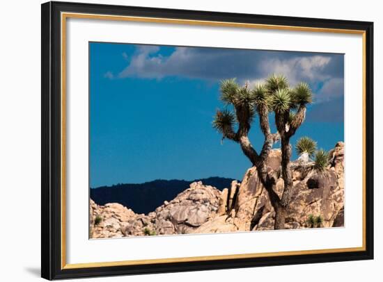 After the Storm II-Erin Berzel-Framed Photographic Print